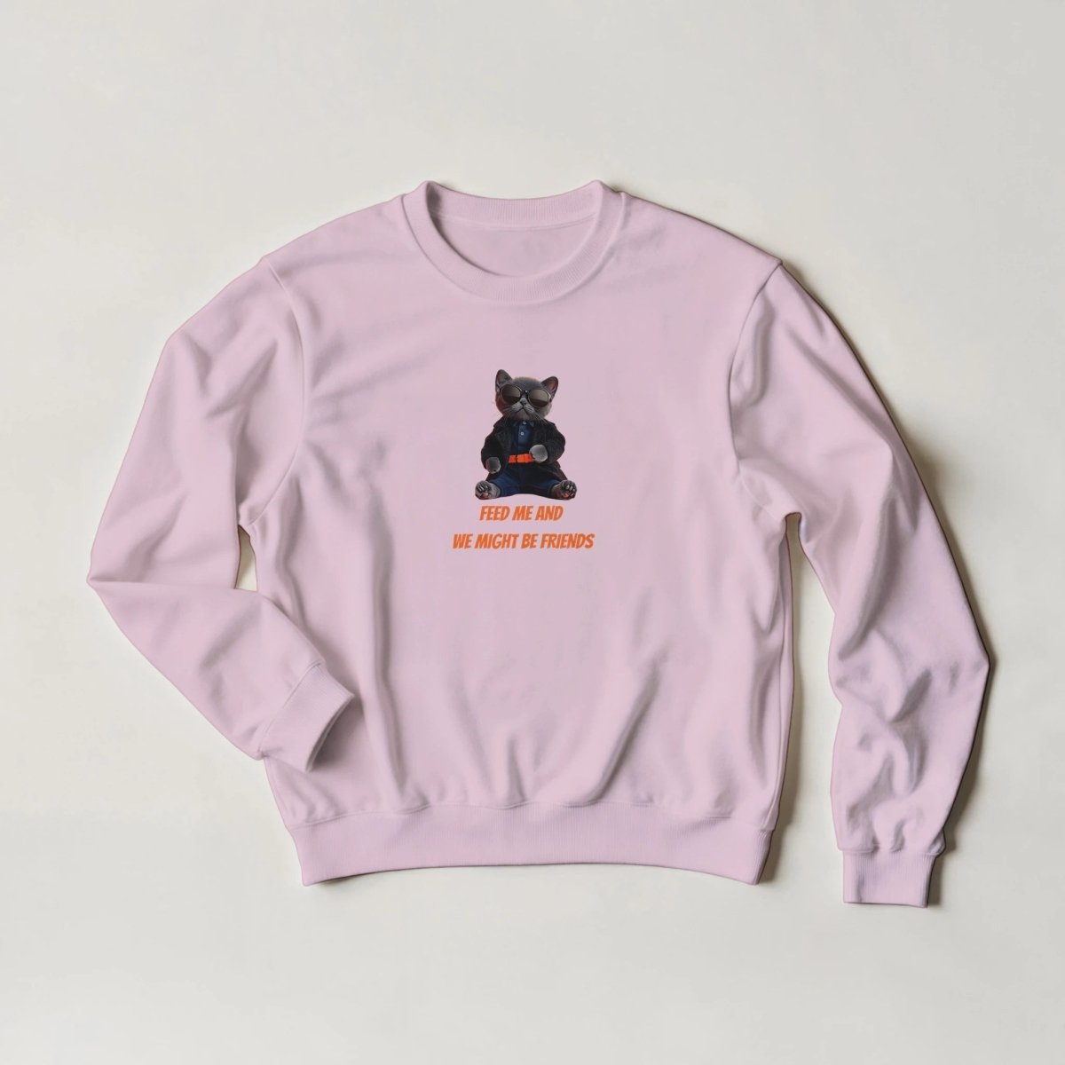 Cool Cat Graphic Sweatshirt – 'Feed Me & We Might Be Friends' Slogan - Choose from 6 Colors - ROMAG Store